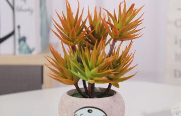 Artificial Aloe Vera Plants Head (3)