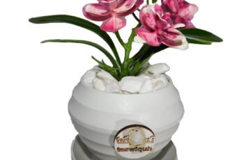 Eva Orchid Potted Flower Synthetic (2)