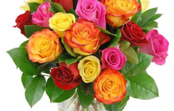 Rainbow Roses (1)