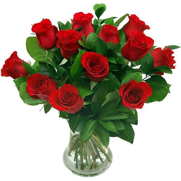 True Romance 12 Red Roses 1