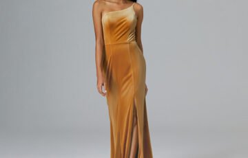 AW Pauline Dress (1)