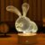 Cute rabbit